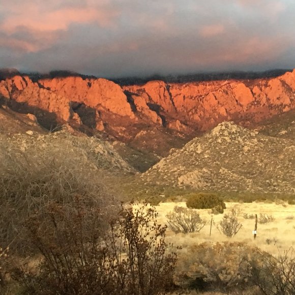 Meet your Posher, Alli - Picture 2 of 8